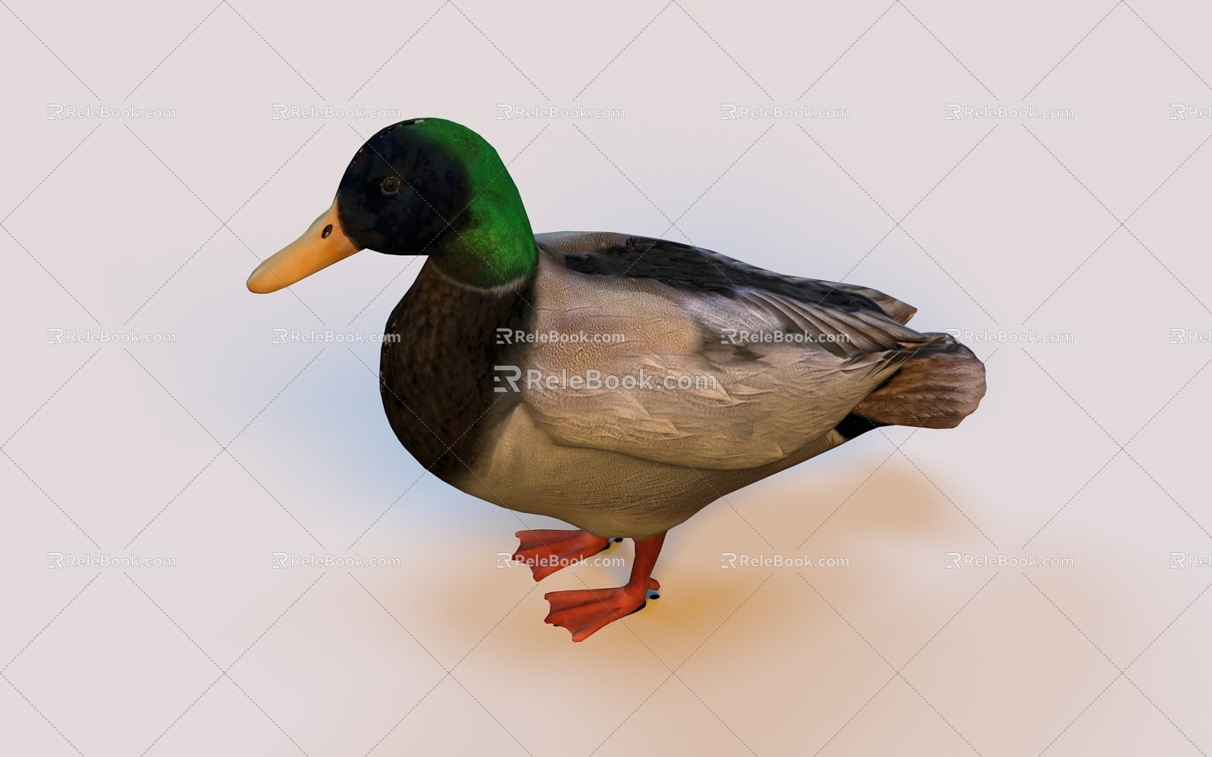 Duck Waterfowl Swimming Flying Meat Food Duck feather Duck egg Duck seedling Breeding and breeding Water fowl animals Travelling birds Duck family 3d model