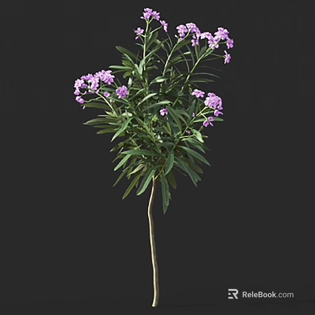 Lush Blooming Shrub with Green Leaves and Small Purple Flowers 3d model 