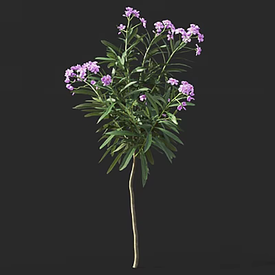 Lush Blooming Shrub with Green Leaves and Small Purple Flowers 3d model