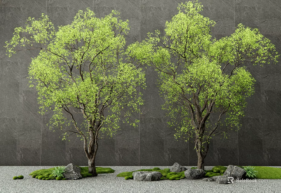 Lush Green Arbor with Thick Trunks Dark Gray Wall Background Stones Moss and Gravel Ground 3d model 