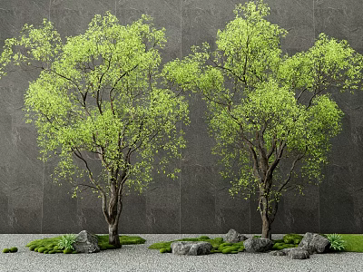 Lush Green Arbor with Thick Trunks Dark Gray Wall Background Stones Moss and Gravel Ground 3d model