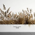 Decorative Dried Grasses In White Planter Against White Wall And Gray Floor