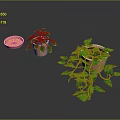 Pothos Plants in Terracotta Pots with Long Green Vines and Lush Leaves