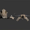 Medical Devices Anatomical Skeletal Models with Skull Spine and Bone Structures for Education