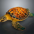 Vibrant Sea Turtle With Orange Black Patterned Shell And Yellow Spotted Head