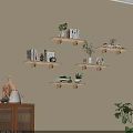Wooden Wall Shelves with Books Plants and Decor in Living Room