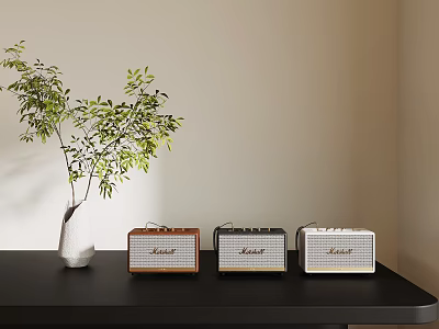 Three Vintage Radios On Black Table With White Vase Green Plant And Light Colored Wall 3d model