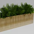Lush Green Potted Plants in Rectangular Woven Planter with Dense Foliage 3d model