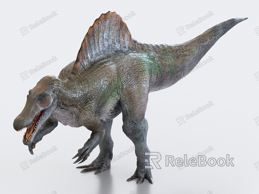 Spinosaurus Spinosaurus dinosaurs ancient animals ancient creatures model