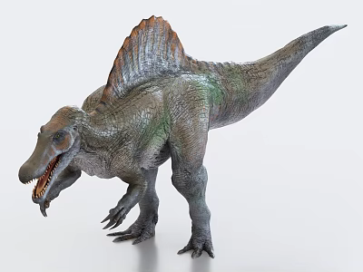 Realistic 3D Rendering Of Spinosaurus Dinosaur With Sail And Skin Texture 3d model