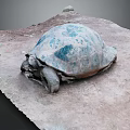 Turtle Cartoon Turtle Snapping Turtle Chickbill Turtle Reptile Cold Blooded Animal Reptile Class 3d model