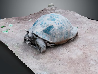 Large Tortoise Reptile Lying on Muddy Ground With Blue Gray Shell And Green Leaves 3d model