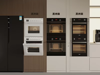 Modern Kitchen With Built In Steam Ovens And Cabinet Layout Design 3d model