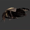 Highly Detailed 3D Bee Model With Realistic Wings And Textured Body