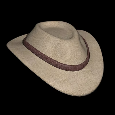 Classic Wide Brim Straw Hat With Dark Brown Band And Natural Material 3d model