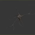 Advanced Medical Device for Neurological Research and Neuron Imaging Applications