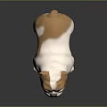 3D White and Brown Bulldog Model Standing on Shiny Black Surface with Grey Gradient Background