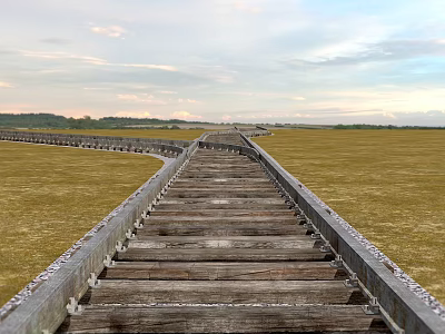 Long Scenic Wooden Boardwalk Pathway Through Open Grassland With Cloudy Sky 3d model