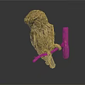 Textured Owl Sculpture Perched On Wooden Branch With Dark Background Reflection