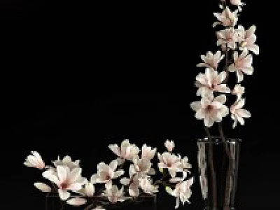 Elegant Pink And White Magnolia Flowers In Transparent Glass Vases For Home Decoration 3d model