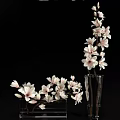 Elegant Pink And White Magnolia Flowers In Transparent Glass Vases For Home Decoration