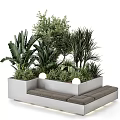 Outdoor Concrete Chair With Gray Cushions Surrounded By Green Plants And Round Lights