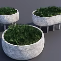 Three Bonsai Potted Plants In Gray Concrete Planters With Legs And Lush Greenery