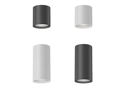 Modern Downlights and Spotlights With Black White Colors Sleek Simple Design 3d model
