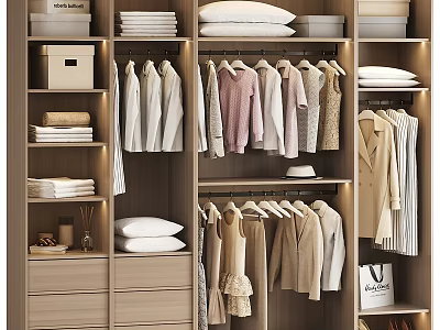 Modern Light Wood Closet Interior With Hanging Folded Clothes Drawers And Storage Boxes 3d model