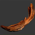 Vibrant Orange Plant Driftwood With Smooth Surface On Gray Background