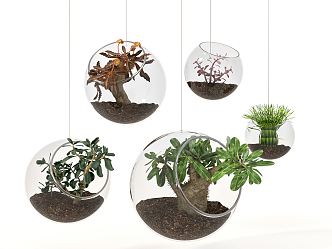 Modern hanging basket plant ornaments 3d model