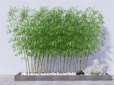 Lush Green Bamboo Plants in Modern Planter with Stones and Small Plants Against White Wall 3d model