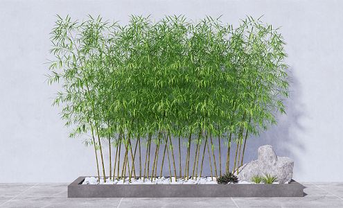 Modern bamboo indoor green bamboo flower bed flower box bamboo 3d model