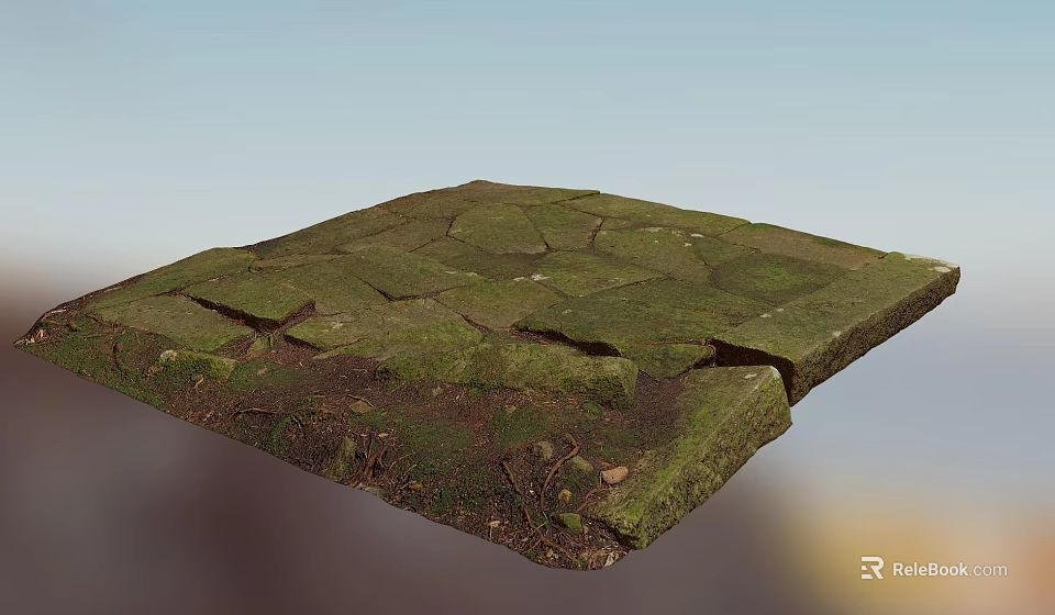 Lush Green Moss Growing On Cracked Stone Slab In Garden Ground 3d model 