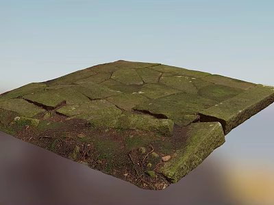 Lush Green Moss Growing On Cracked Stone Slab In Garden Ground 3d model