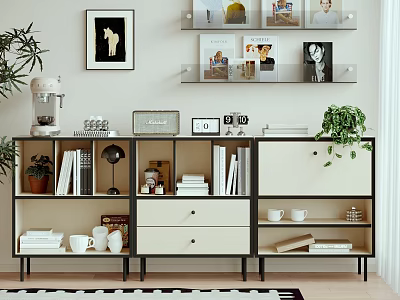 Modern Stylish Decorative Cabinet In Living Room With Books Plants Frames And Decor Items 3d model
