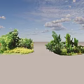 Lush Outdoor Plant Combination With Tropical Leaves Green Bushes And Colorful Blooms