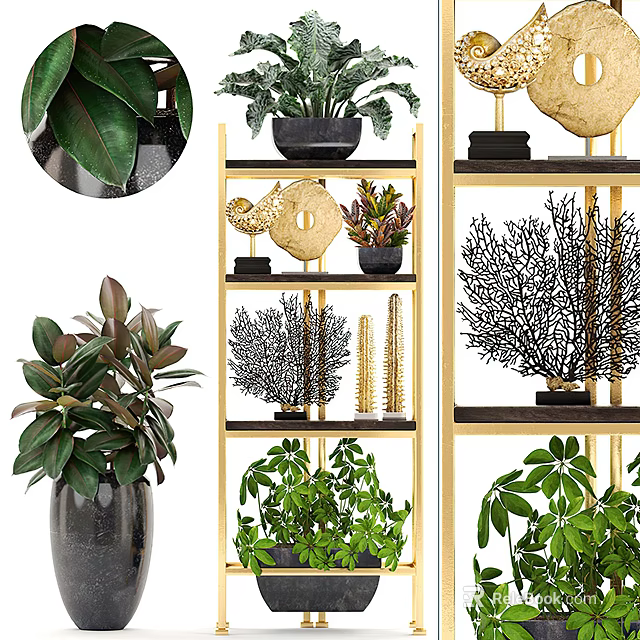 Modern Gold Shelf Displaying Various Green Plants And Decorative Ornaments For Home 3d model 