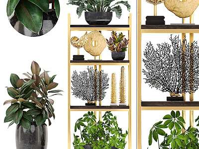 Modern Gold Shelf Displaying Various Green Plants And Decorative Ornaments For Home 3d model
