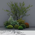 Diverse Garden Shrubs With Various Colors And Shapes In Landscape Arrangement
