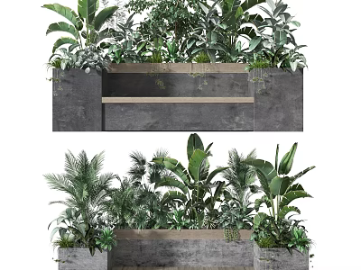 Bonsai Potted Plants With Tropical Foliage In Concrete Planters For Indoor Outdoor Decor 3d model