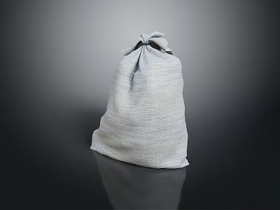Sack Bag Cereal Bag 3d model