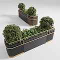 Bonsai Potted Plants In Black Brown Rectangular Planters With Gold Trim And Green Foliage