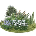 Vibrant Garden Flowers With Purple White Blooms Green Leaves And Tropical Plants