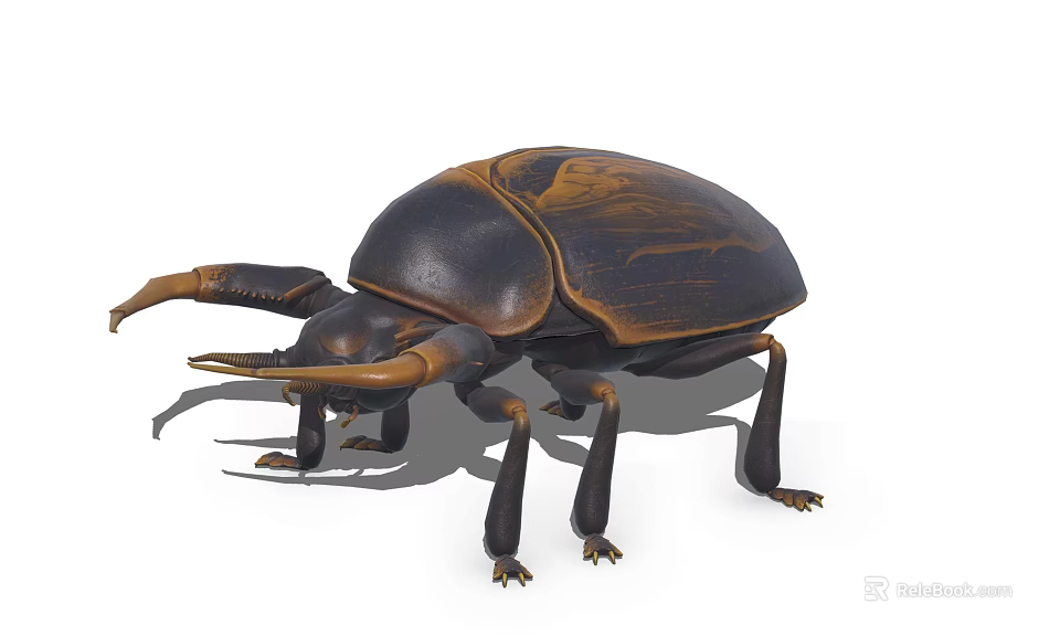 Detailed Realistic Flying Beetle With Black Brown Shell And Horned Structure 3d model