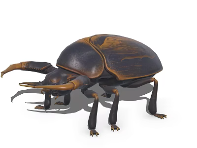 Detailed Realistic Flying Beetle With Black Brown Shell And Horned Structure 3d model