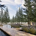 Park Landscape Featuring Wooden Boardwalk Water Channel Tall Pine Trees Green Grasses And Lawn