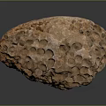 Natural Brown Porous Stone With Unique Hole Texture For Decorative Use