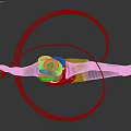 Woman Performing Rhythmic Gymnastics With Yellow Ribbon In Red Leotard Balancing On One Leg