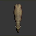 Brown Hippopotamus 3D Model With Textured Surface Standing On Dark Background And Reflection